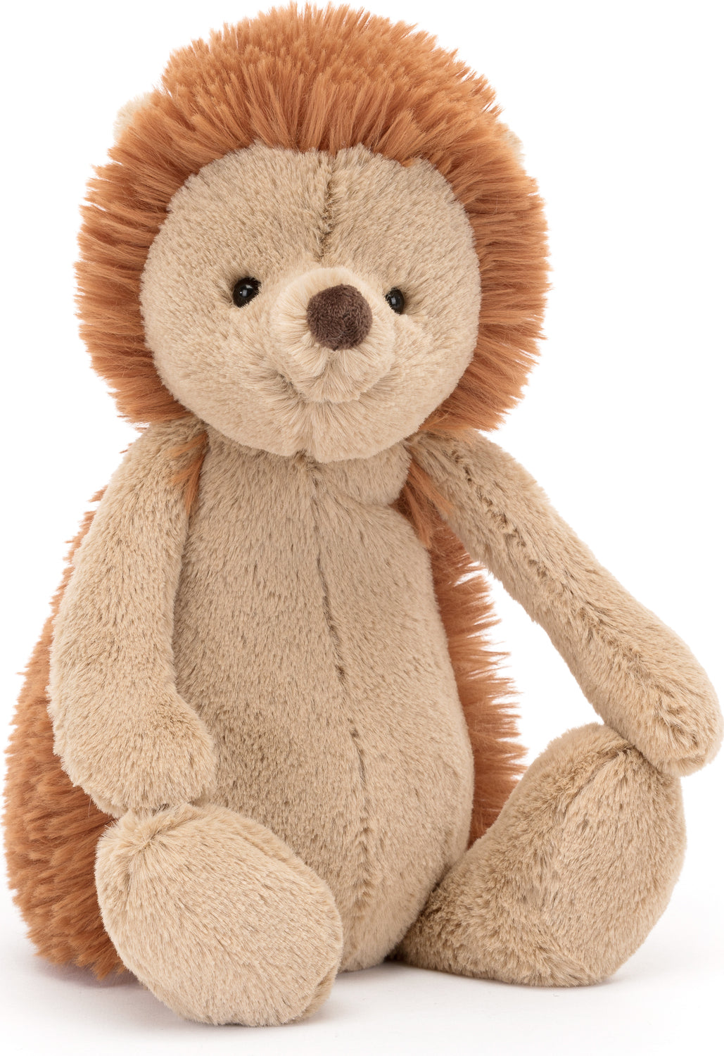 Bashful Hedgehog Original